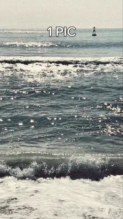 1 PIC