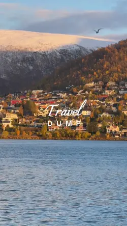 Travel dump