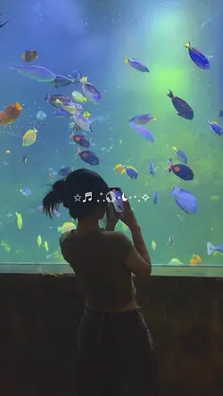 8 video aesthetic