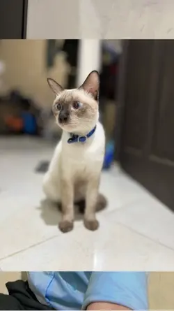 Gantengnya pacarku