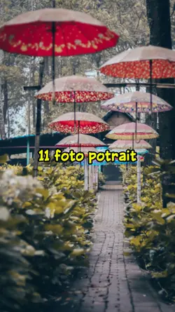 11 foto potrait