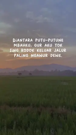 story jowo
