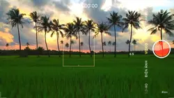 Video or photo 