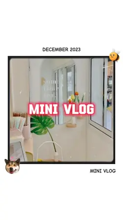 MINI VLOG