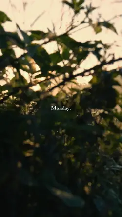 Monday