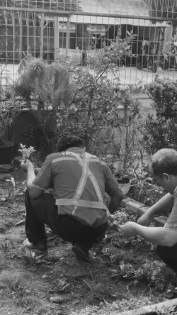 Gardening sekut