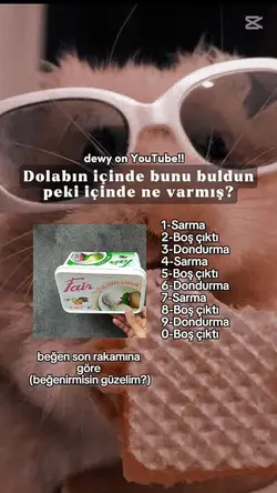 dondurma kabı 