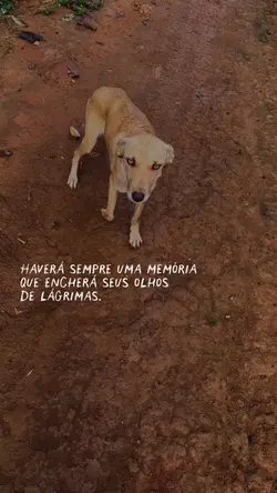 Memórias