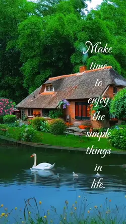 Enjoy your life