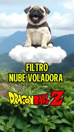 Nube Voladora