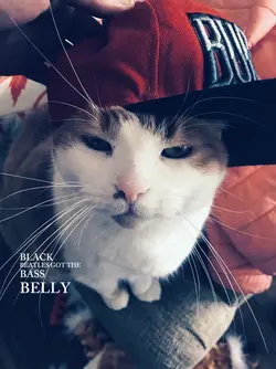aesthetic