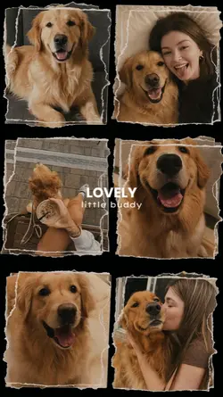 Love My Pet