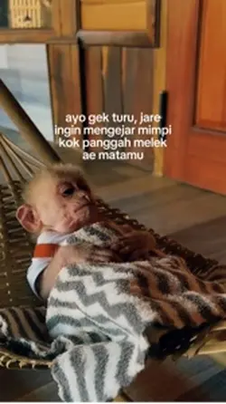 turu