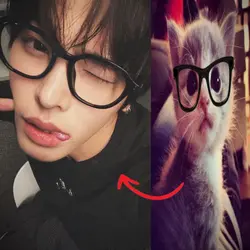 KUCING PFP