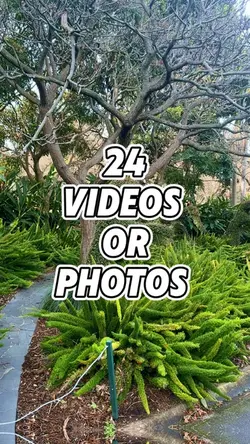 Mini vlog video