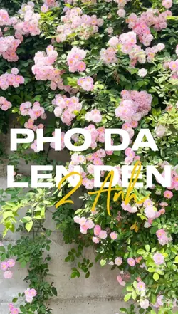 2 ảnh nhẹ nhàng 