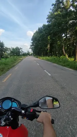 lines 