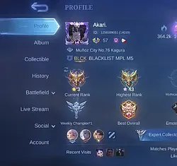 FLEX