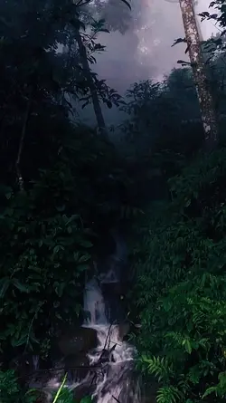 nature vibes