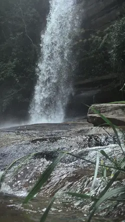 1คลิปวิวธรรมชาติสวยๆ