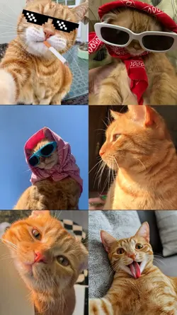 lallalalala