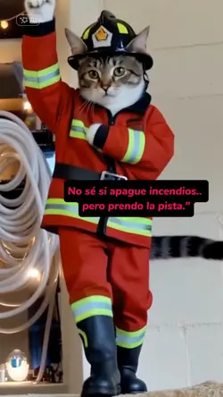 Gato bombero