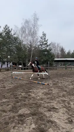 horse fail