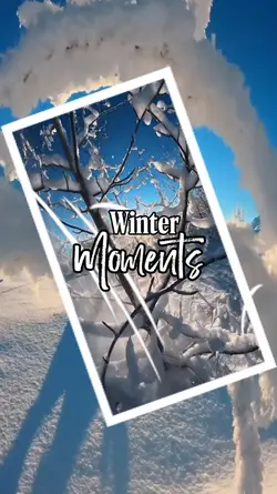 Winter Moments