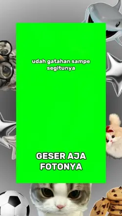barang bagus