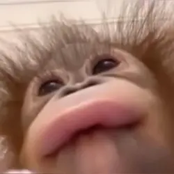 😛