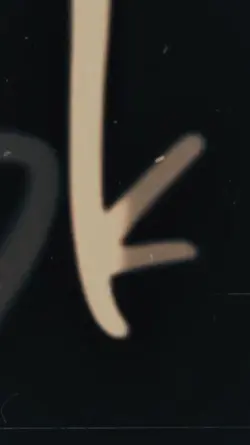 2 video 3 foto