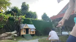 Timelapse