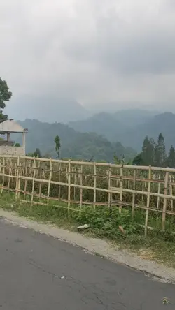 Video suara alami