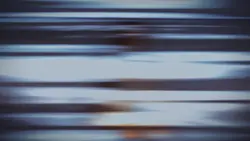 Landscapevideos