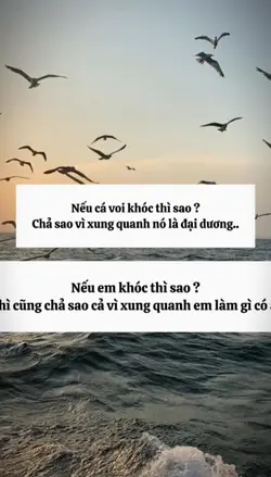 [1] ảnh