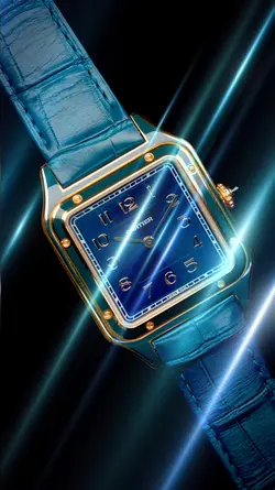 luxury watch