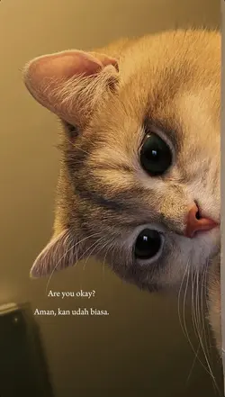 are you okay 