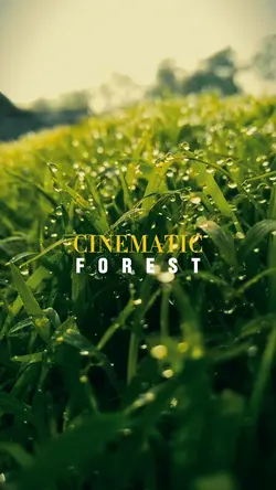 CINEMATIC FOREST