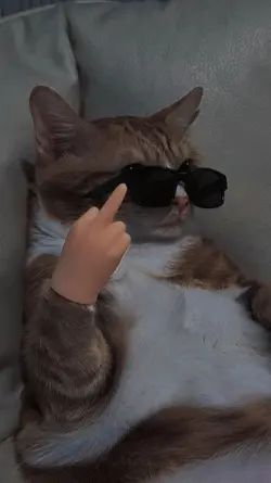 pancen kowe gateli