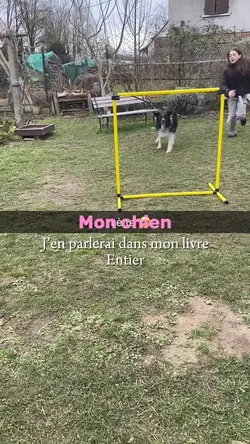 Mon chien