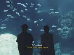 1 ảnh 