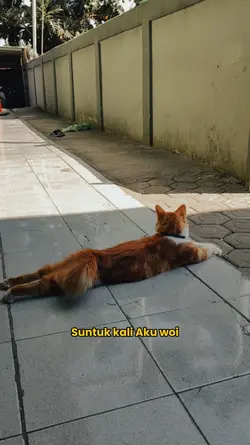 Suntuk kali aku woii
