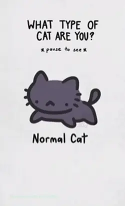 What cat are you
