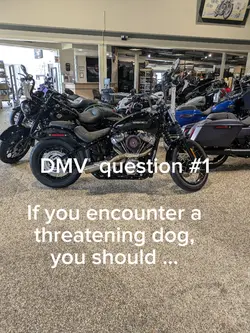 question answer