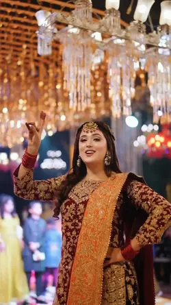 Wedding Highlights 