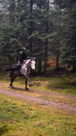 💚🕊️🐎