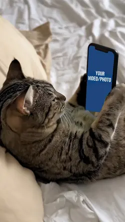 your favorite video