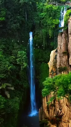 Nature Cinematic
