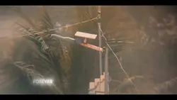 nostalgia