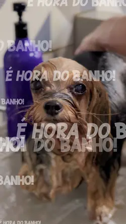 Pet Shop